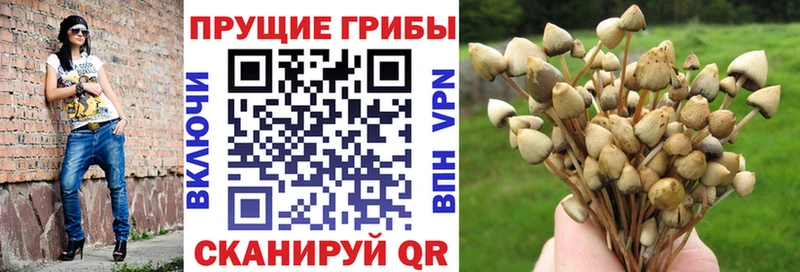 Галлюциногенные грибы Magic Shrooms  shop состав  Богородск  сколько стоит 