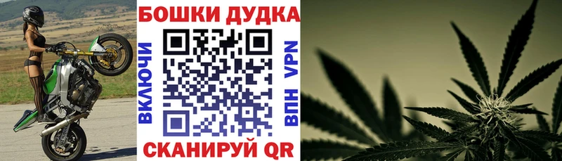 купить наркотик  Богородск  Каннабис White Widow 